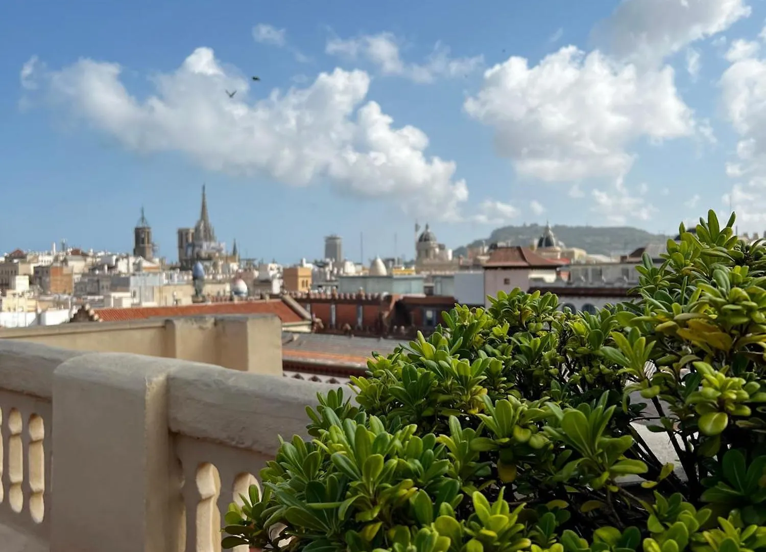 Apartament Sunny Penthouse With Sea View Barcelona Hiszpania